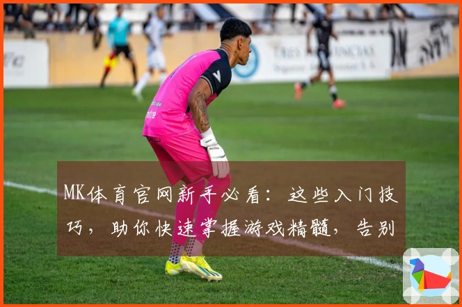 MK体育官网新手必看:这些入门技巧,助你快速掌握游戏精髓,告别小白!